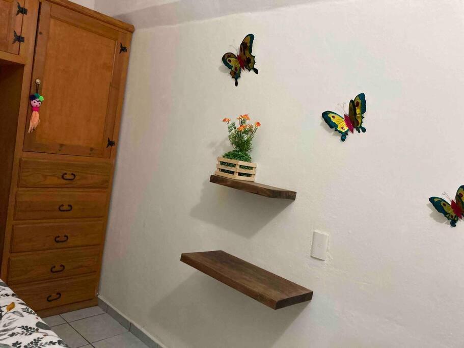 Acogedora Habitacion Privada En Jalatlaco Oaxaca Dış mekan fotoğraf